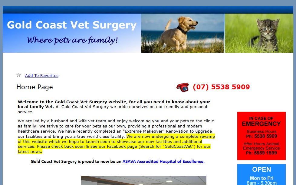 Gold Coast Vet Surgery Dogs Australia