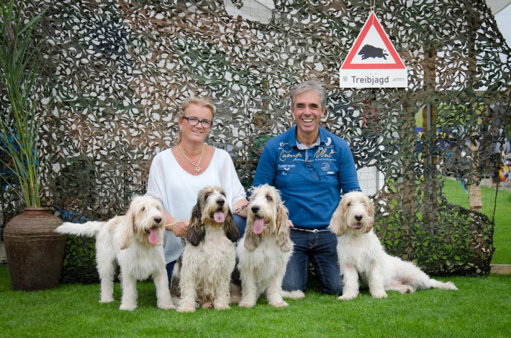 Grand Griffon Vendéen Dogs loving with family