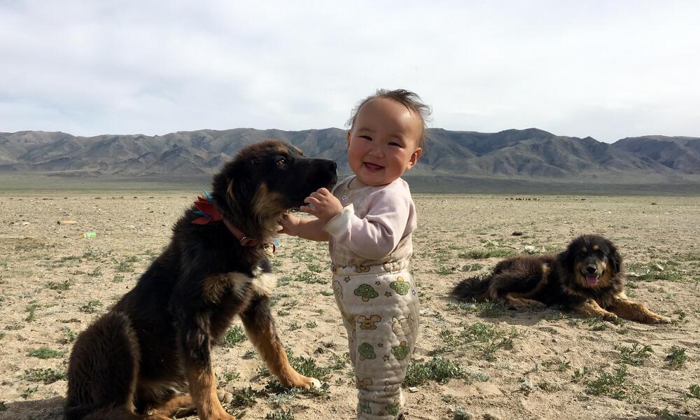 Bankhar Dog play with child