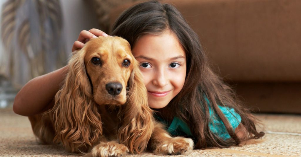 Suitability as a Pet for Children Billy Dog