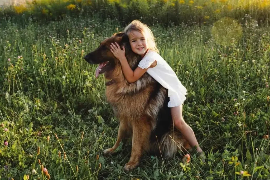 German Shepherd Dog play with child happy
