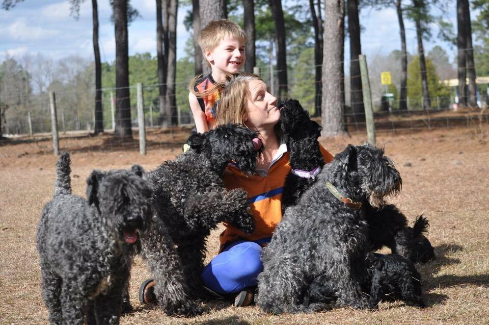 Kerry Blue Terrier Dog happy with family