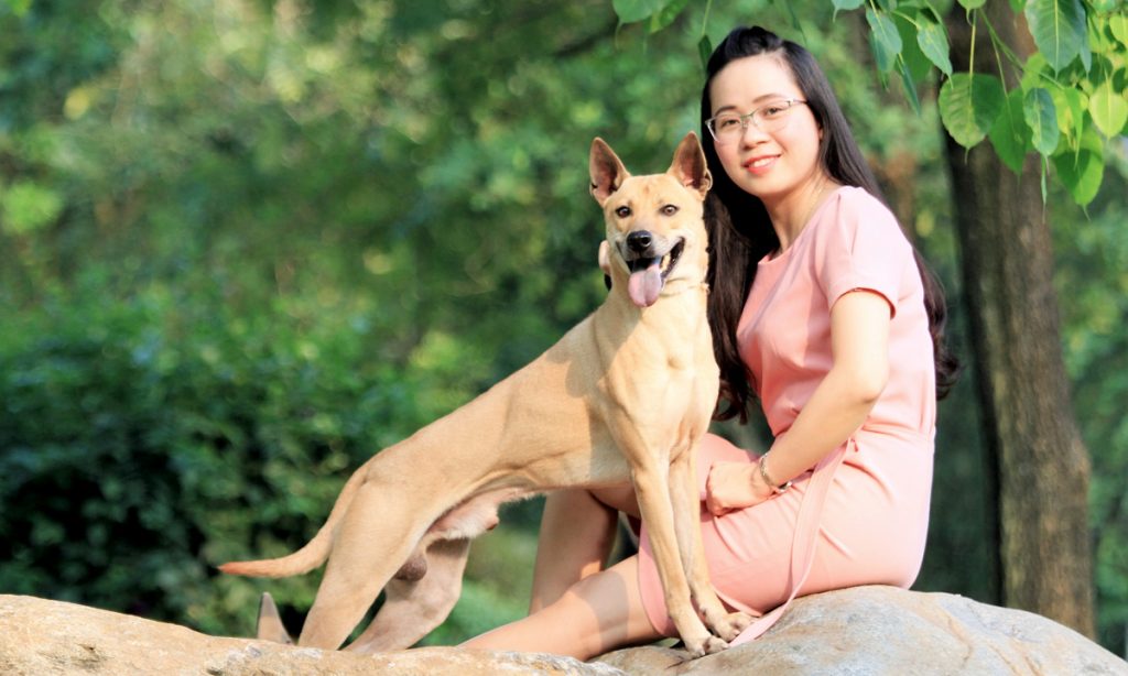 Phu Quoc Ridgeback Dog comfortable with family