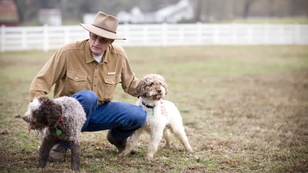 Lagotto Romagnolo dog training with owner
