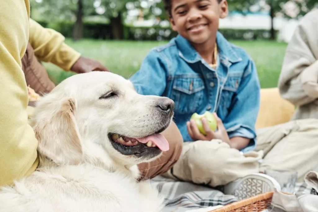 20 Best Family Dogs: How to Choose a Kid-Friendly Dog