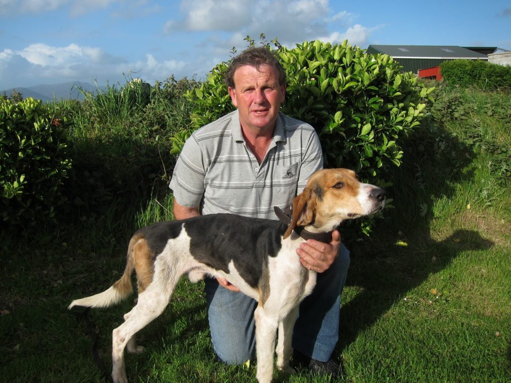 Kerry Beagle Dog training with owner