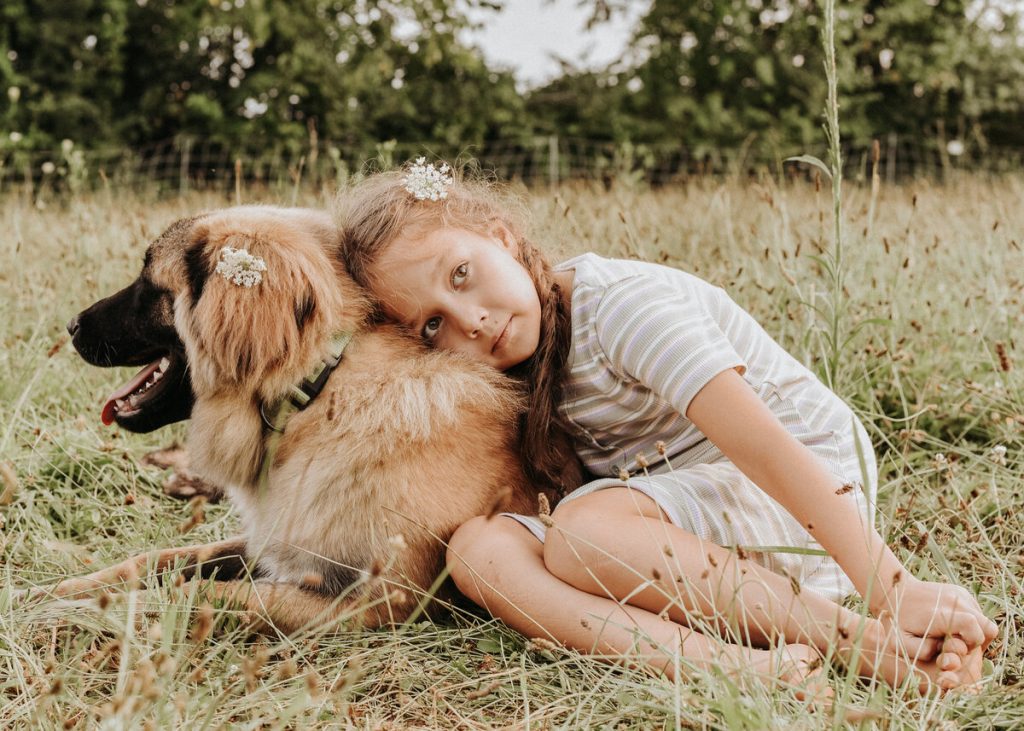 Estrela Mountain Dog happy with child