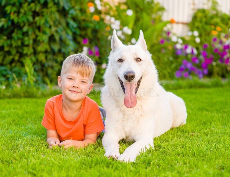 White Swiss Shepherd Dog happy with kid