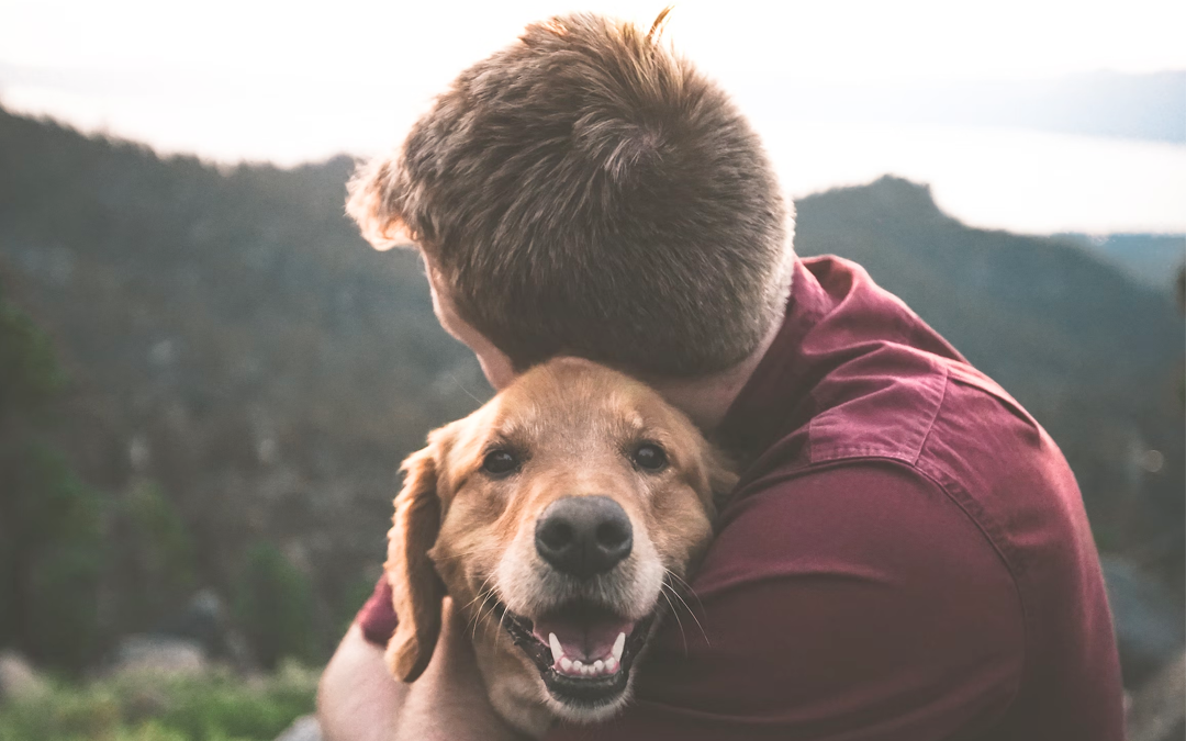 10 Dog Care Tips - Caring for your Dog Image 15