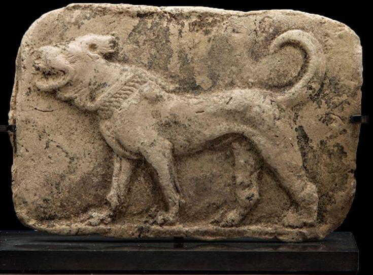 Assyrian Mastiff Dog Breed Image 19