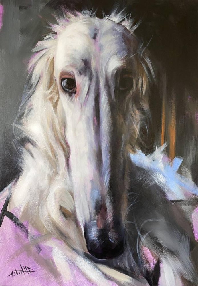 Borzoi Dog Breed Image 15