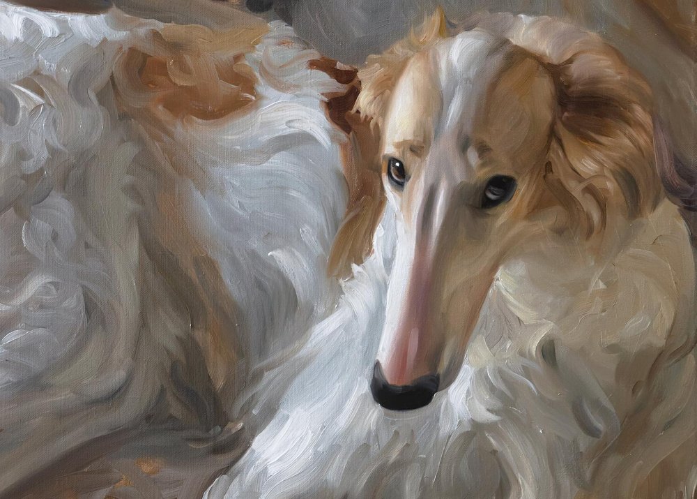 Borzoi Dog Breed Image 16