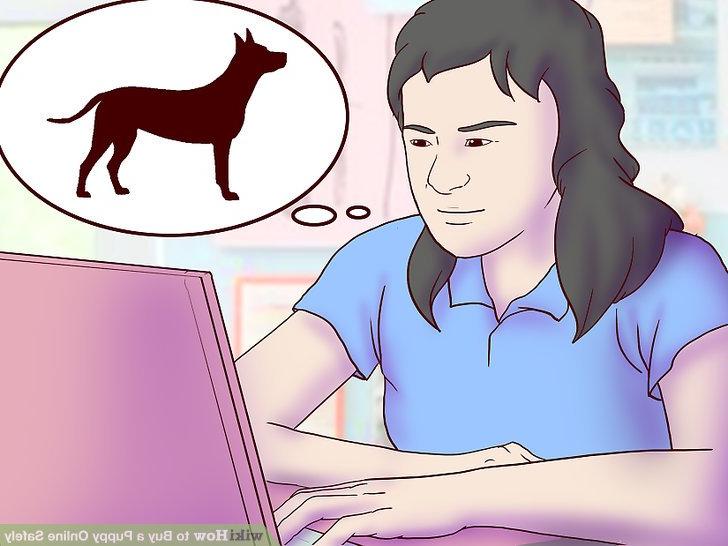 Buying a Dog or Puppy Online Image 17