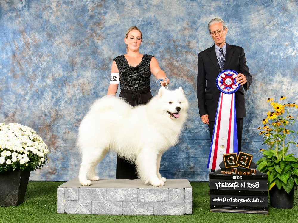 Canadian Kennel Club Image 1