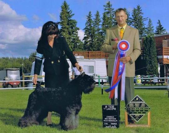 Canadian Kennel Club Image 15