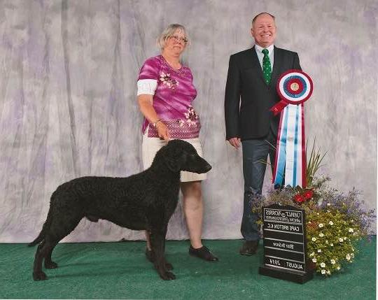 Canadian Kennel Club Image 20