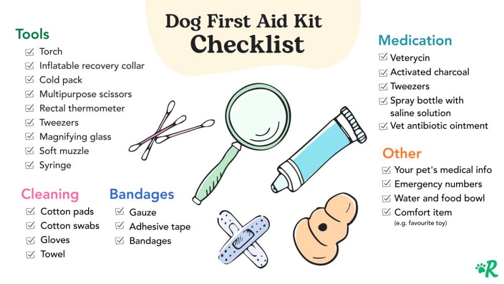 Giving your Dog Emergency First Aid Image 19