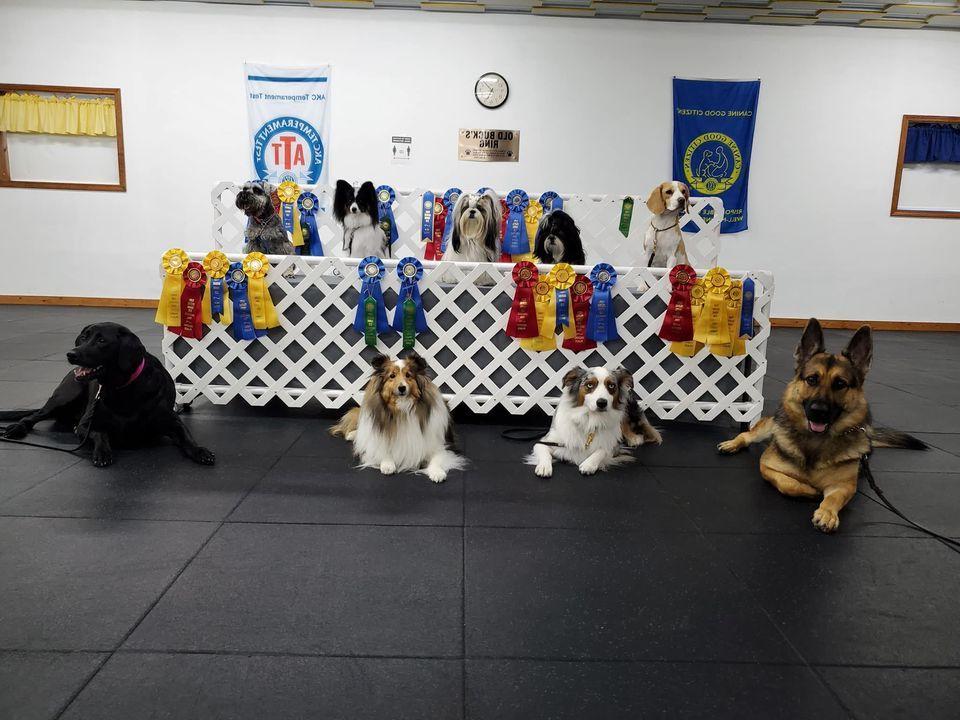 United Kennel Club Image 12